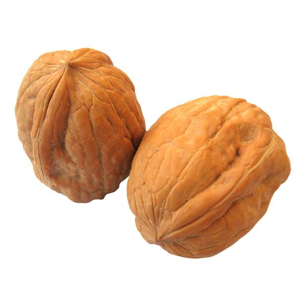 Walnut